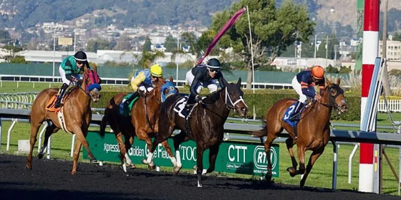 Đua ngựa online - Hình thức thể thao dành cho quý tộc xưa 3 Các quy tắc khi tham gia đua ngựa trực tuyến